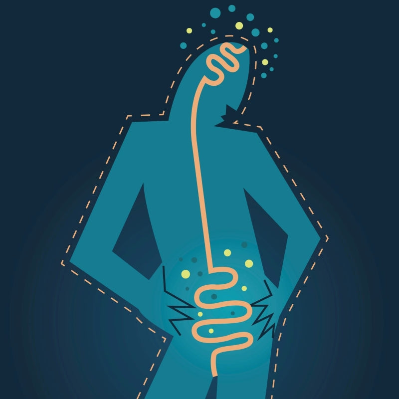 Unleash the Power of Probiotics and Prebiotics for a Healthier Gut