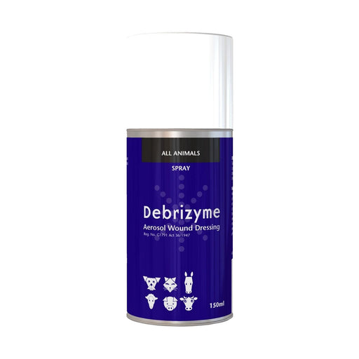 Kyron Debrizyme Aerosol  150ml