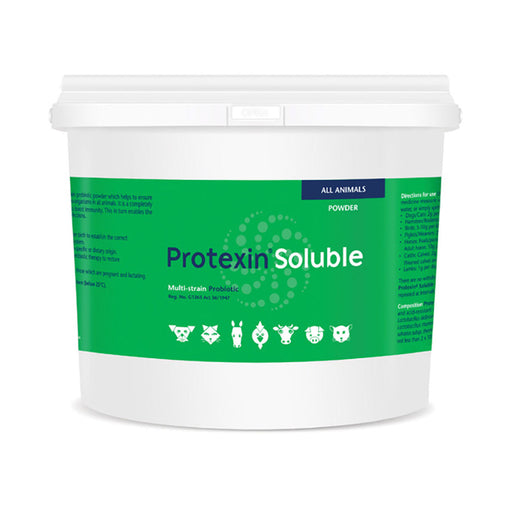 Kyron Protexin Soluble Powder 1kg