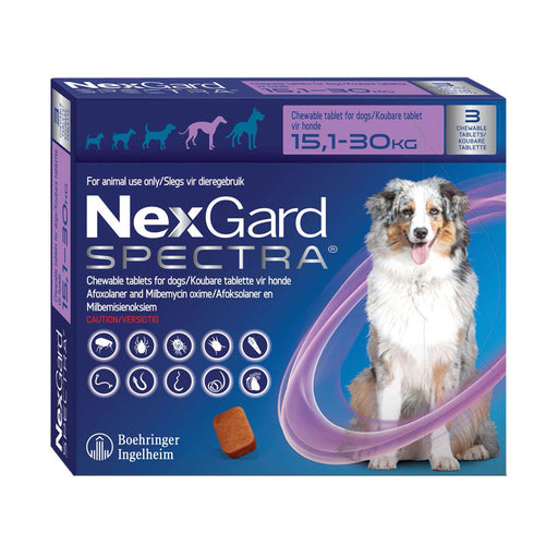 Nexgard Spectra Large Dog 15 - 30 Kg 1 Chewable Tablet